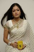 ... ACTRESS: South Indian actress Meghana Raj in saree
