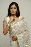 actress meghana raj in saree (8)